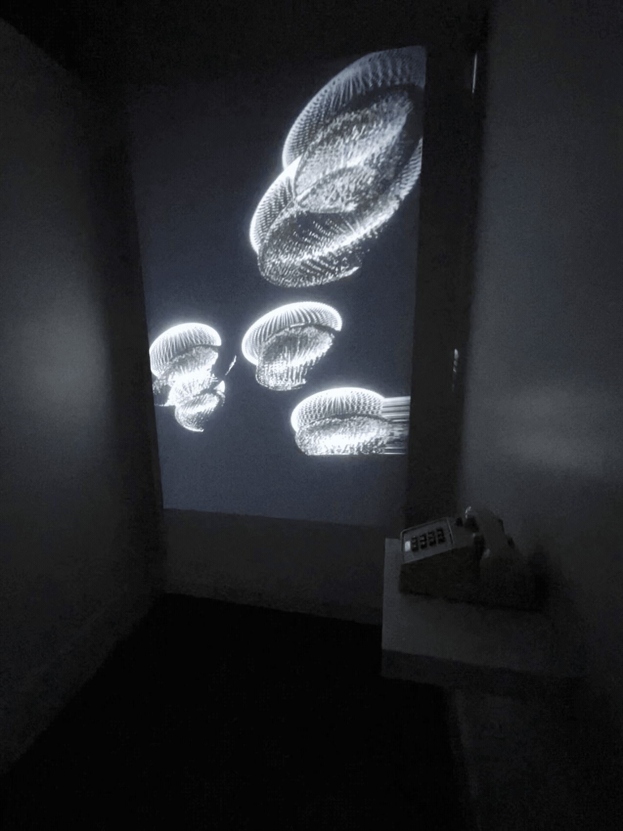 Description of the GIF